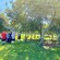 A group of people standing on a grassy area among trees at Tauranga, New Zealand